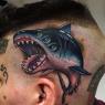 Значение татуировки с изображением акулы Что обозначает наколка акула